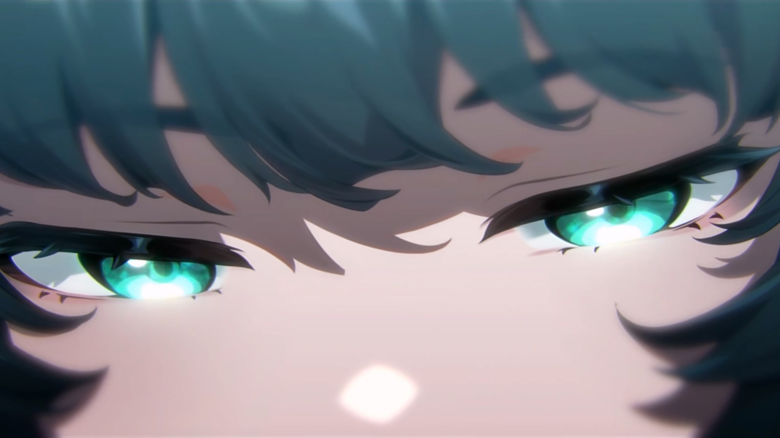 background picture of the home page